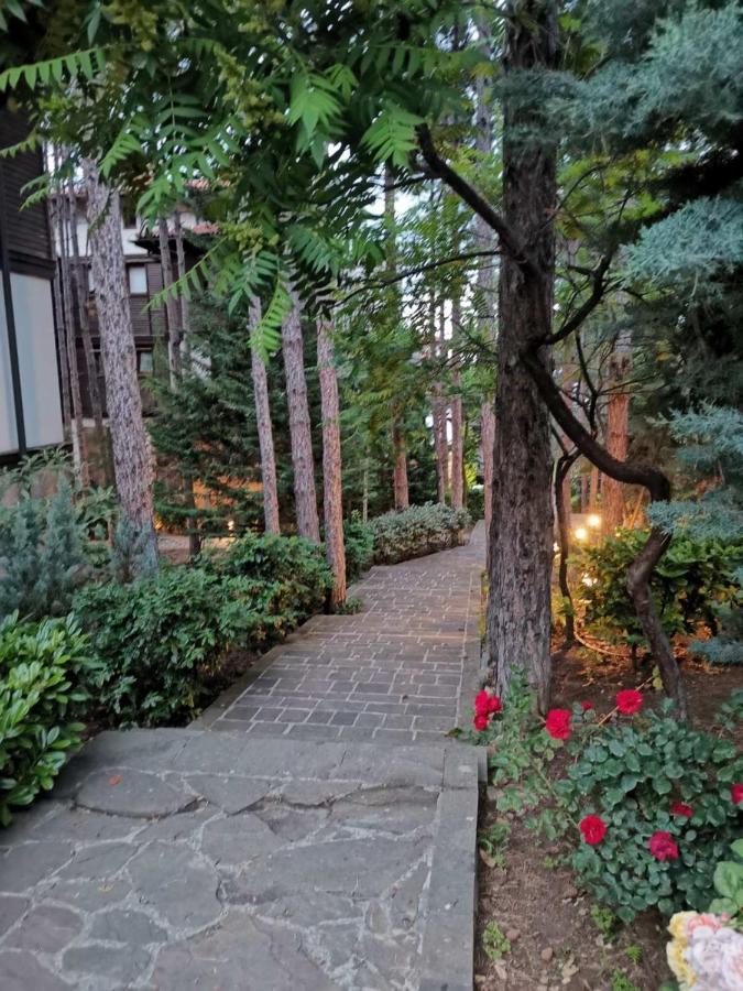 Quiet Apartment With Big Terrace In Santa Marina With Parking Sozopol Eksteriør billede
