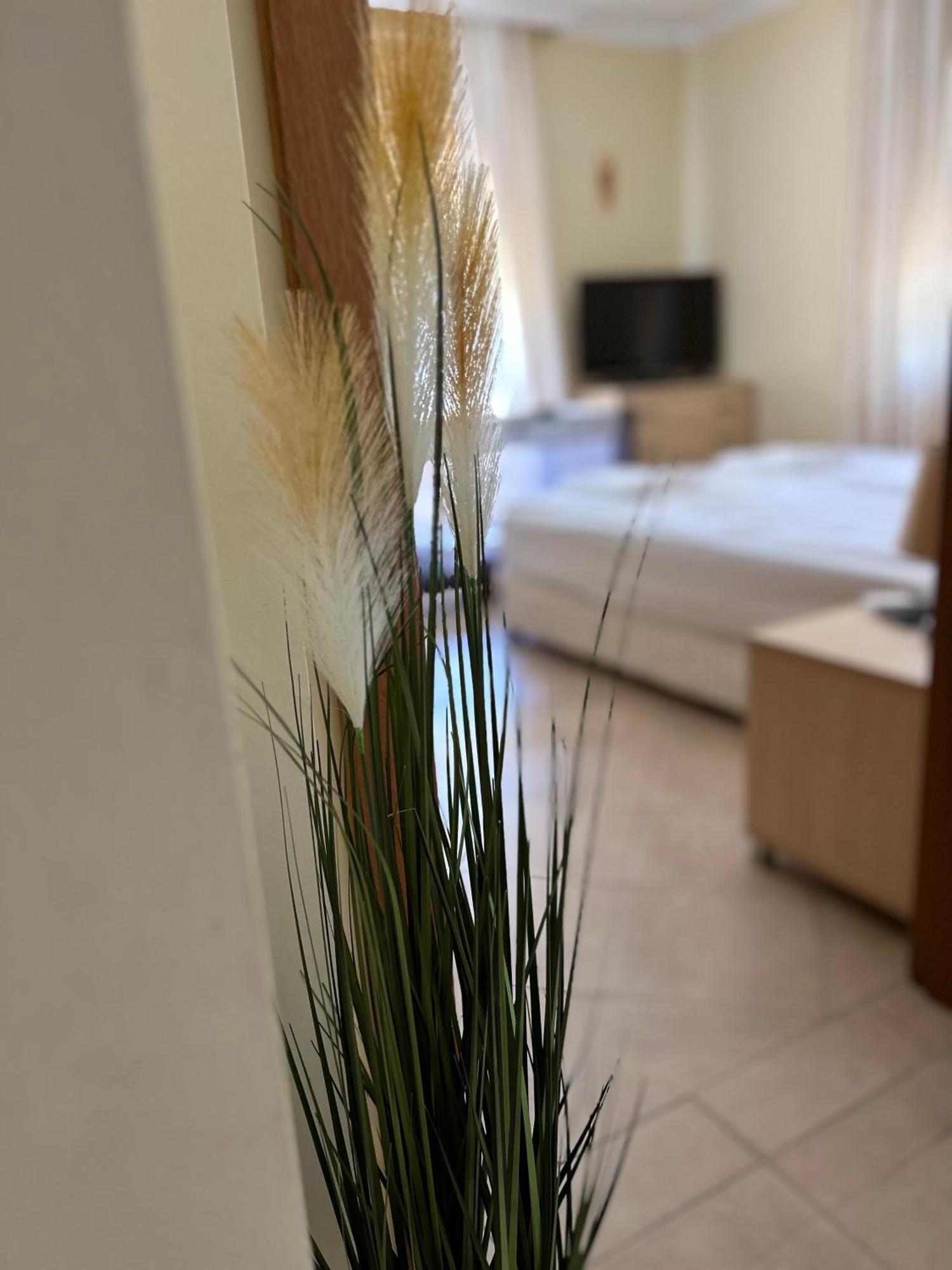 Quiet Apartment With Big Terrace In Santa Marina With Parking Sozopol Eksteriør billede
